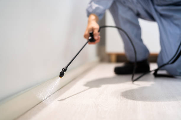 Licensed Mosquito Control service in Friday Harbor, WA - Show Me Pest Control