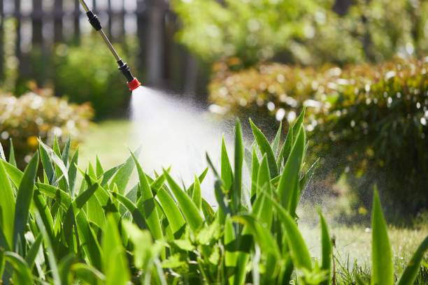 24/7 Emergency Mosquito Control experts in Friday Harbor, WA