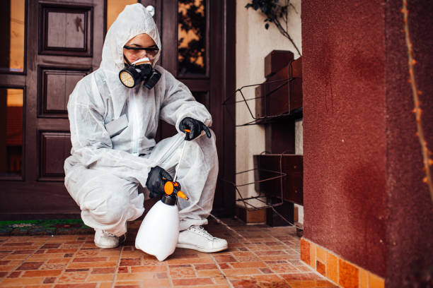 Reliable Mosquito Control contractor in Friday Harbor, WA by Show Me Pest Control