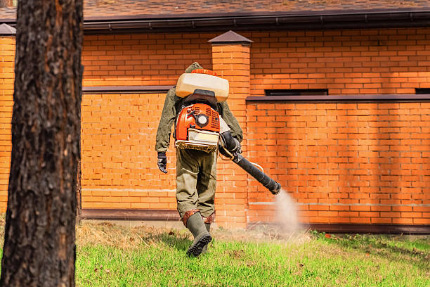 Top rated local Mosquito Control specialists in Friday Harbor, WA
